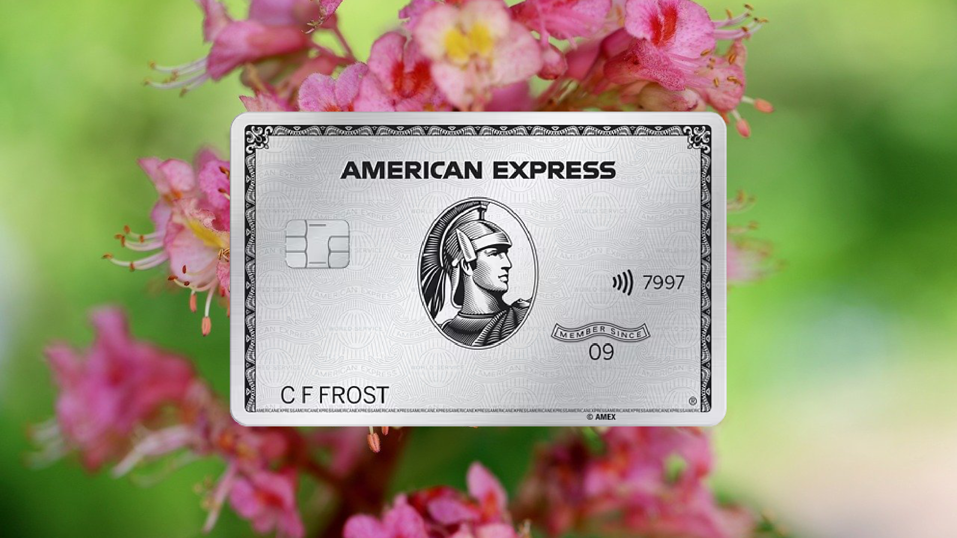 How to Apply for an American Express Platinum Credit Card Easily